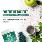 Triquetra Health Organic Chlorella Powder Raw Green Algae - 7.94 oz - image 5