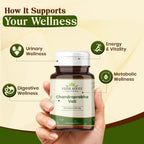 VEDIKROOTS Chandraprabha Vati Ayurvedic Herbal - 240 Tablets - image 3