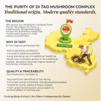 Rooted Active Naturals Mushroom Complex - 60 Vegetarian Capsules - image 8