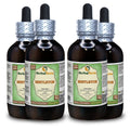 Herbal Terra LLC Mistletoe (Viscum Album) Tincture