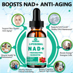 WellVeraVida NAD+ Supplement Liposomal Liquid Drops - 2 Fl Oz - image 3