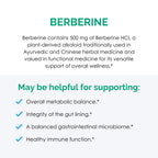 Rootcology Berberine by Dr. Izabella Wentz - 120 Capsules - image 5