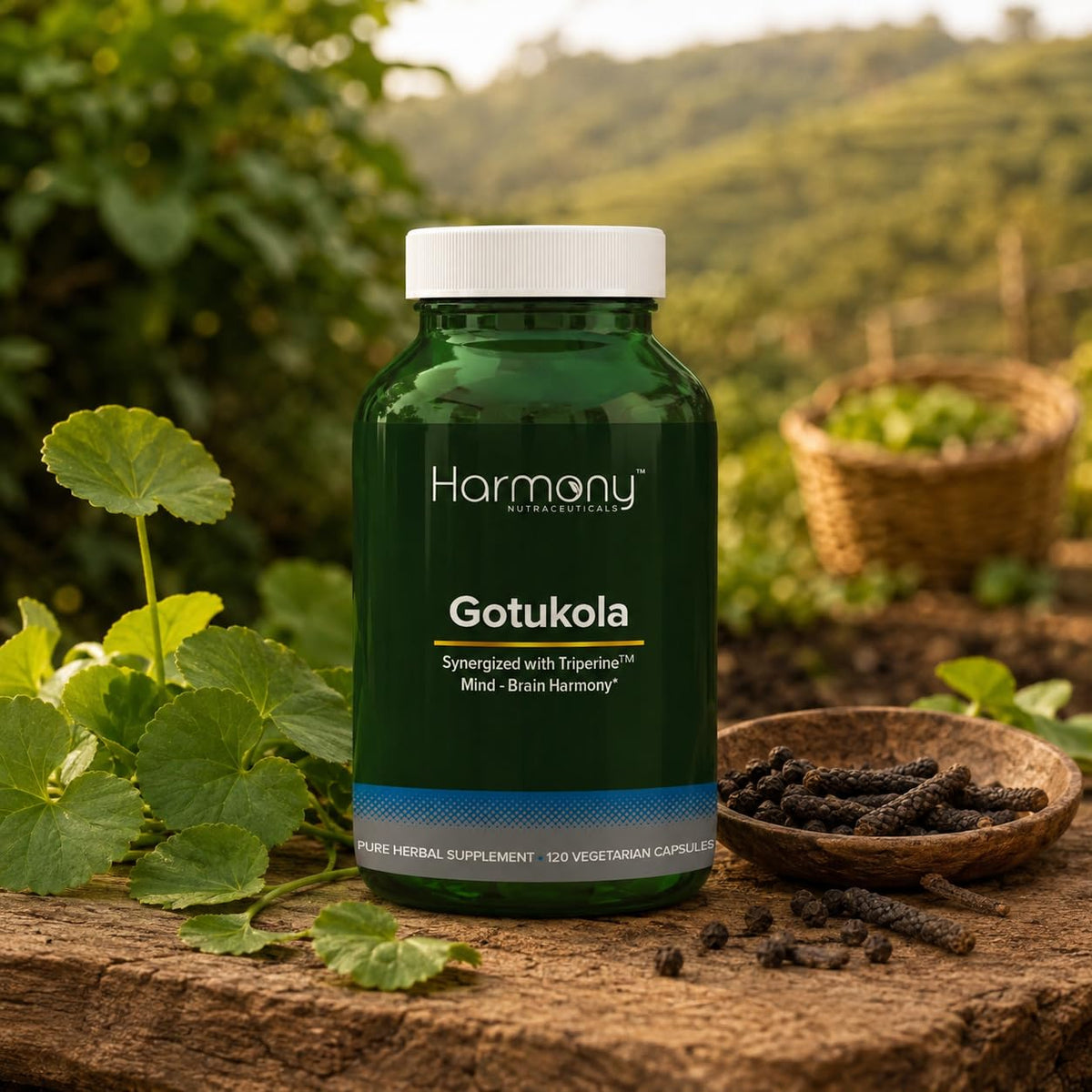 Harmony Nutraceuticals Gotu Kola Supreme Vegetarian Capsules - 120 Count - image 5