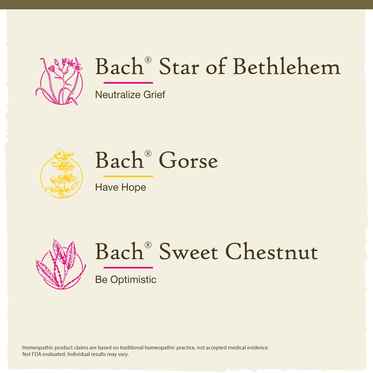 Bach Original Flower Remedies Hope and Joy Kit - 3 x 20mL - image 3