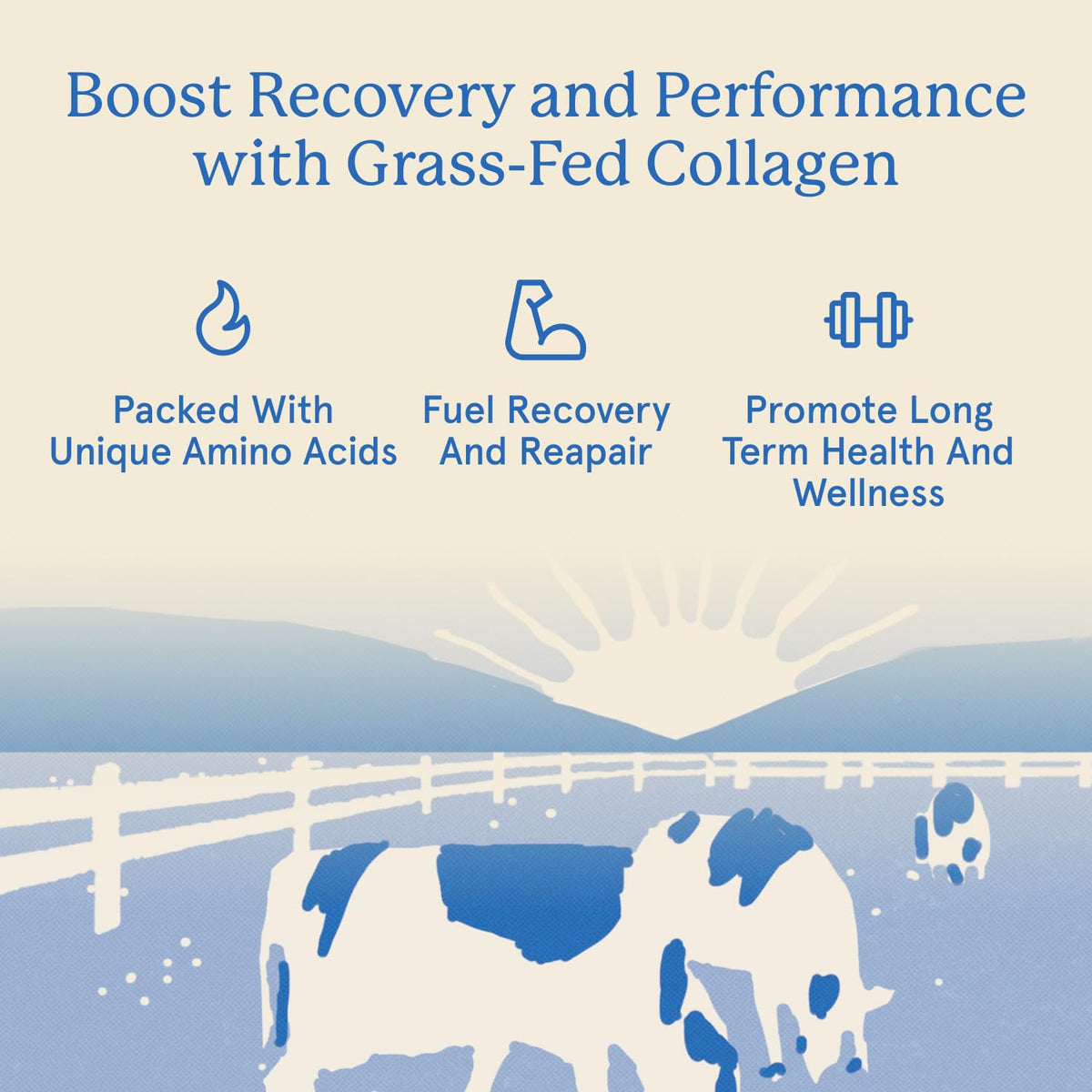 Equip Grass Fed Collagen Powder - 30 Servings - image 4