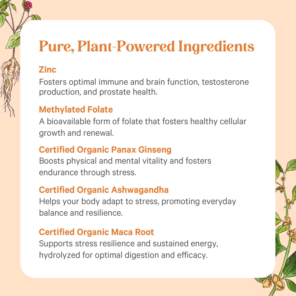 PURE SYNERGY Vita·Min·Vitality Multivitamin for Men - 60 Tablets - image 5