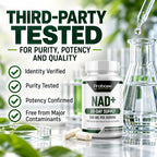 Probase Nutrition NAD Supplement 500mg - 60 Capsules - image 8