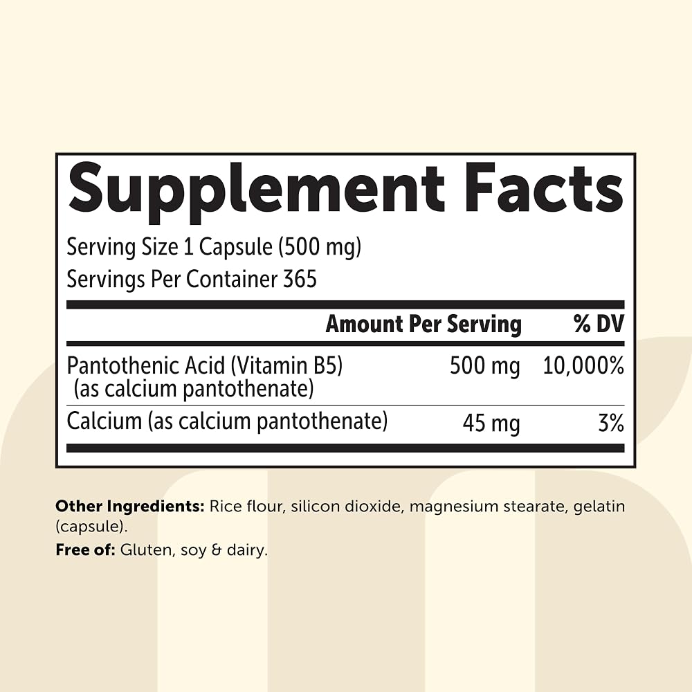 Micro Ingredients Pantothenic Acid 500mg Vitamin B5 - 365 Capsules - image 8