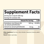Micro Ingredients Pantothenic Acid 500mg Vitamin B5 - 365 Capsules - image 8