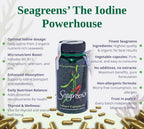 Seagreens Everyday Iodine+ - 60 Capsules - image 2