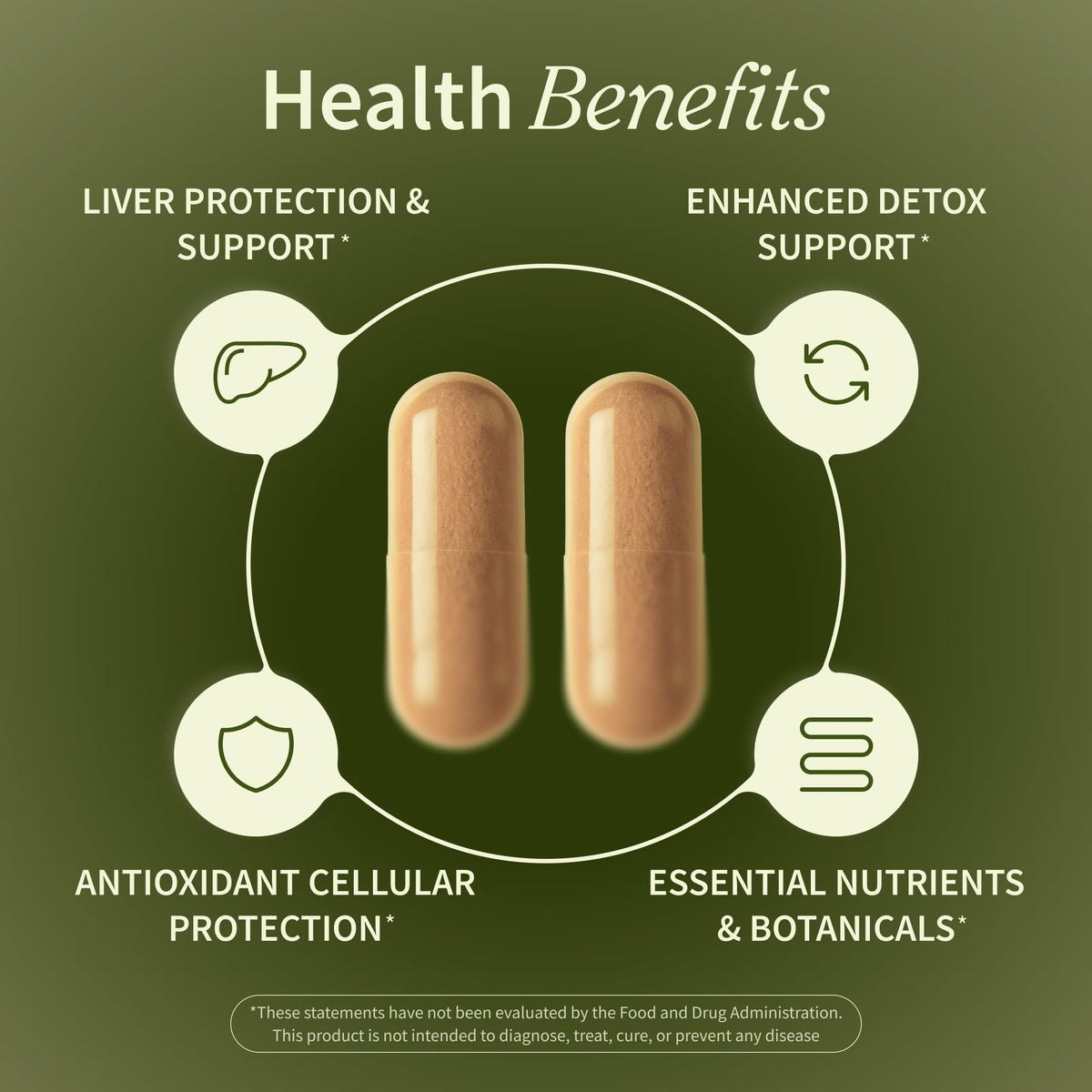 Snap Supplements Milk Thistle Silymarin Liver Support - 60 Capsules - image 5