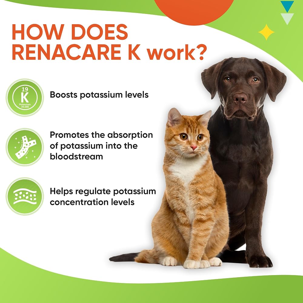 Pet Health Pharma RenaCare K Potassium Supplement Powder for Dogs & Cats - 4 oz - image 5