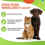 Pet Health Pharma RenaCare K Potassium Supplement Powder for Dogs & Cats - 4 oz - image 5
