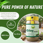 BASIC AYURVEDA Giloy Powder for Immunity & Energy - 200g - image 2