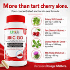 ULTALIFE URIC GO Uric Acid Support Supplement - 60 Capsules - image 3