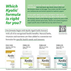 Kyolic Aged Garlic Extract Formula 300 - Cardiovascular Health
