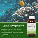 Hi Well Premium Spirulina 500mg Organic - 500 Tablets - image 4