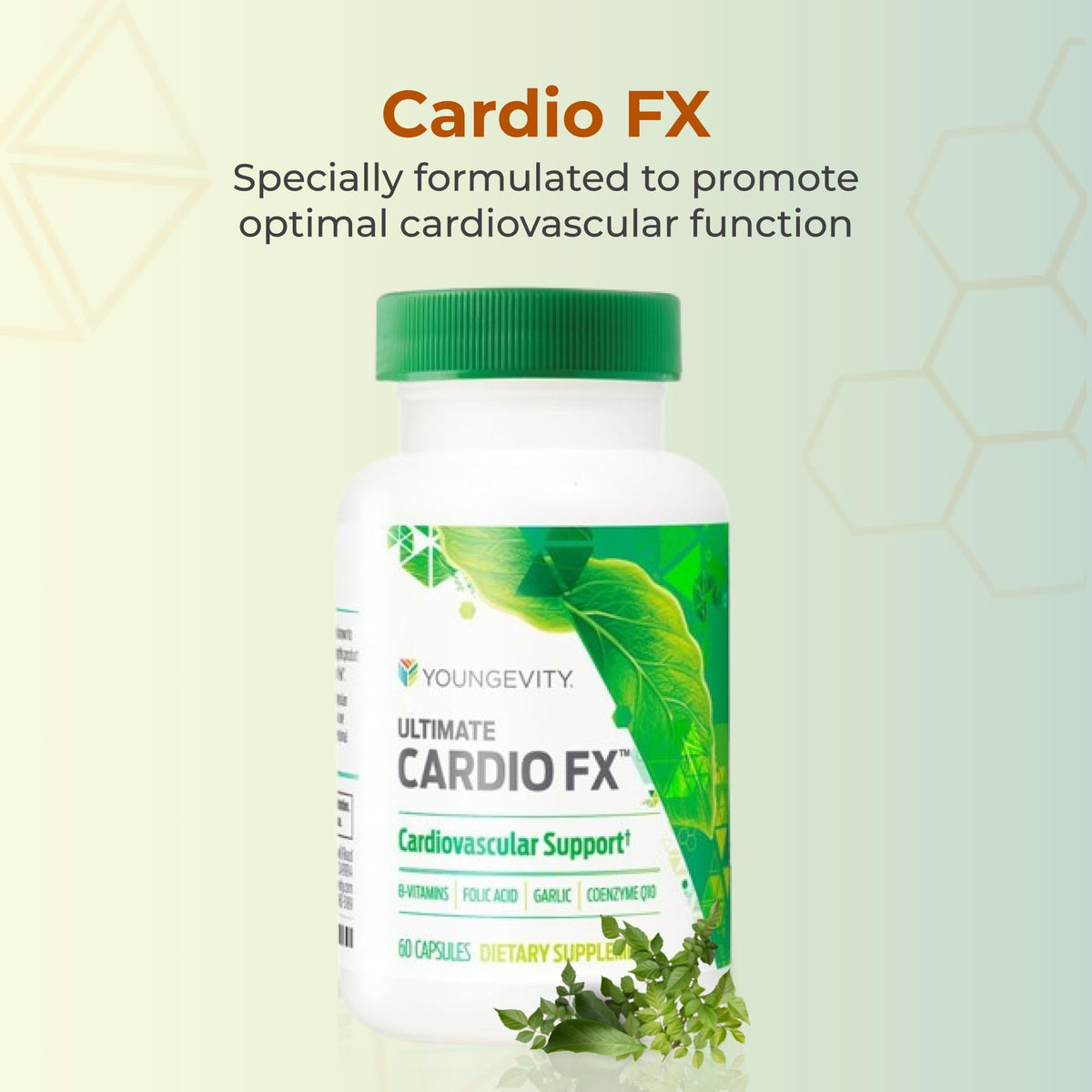Youngevity Cardio FX Cardiovascular Support Supplement with CoQ10 - 60 Capsules - image 2