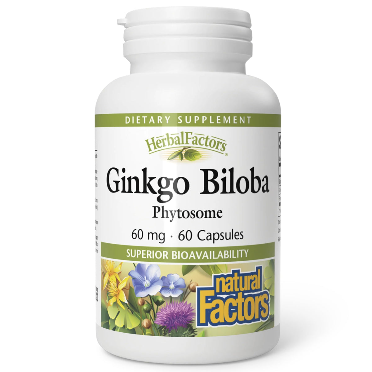 Natural Factors Ginkgo Biloba Phytosome Circulation Support - 60 Capsules