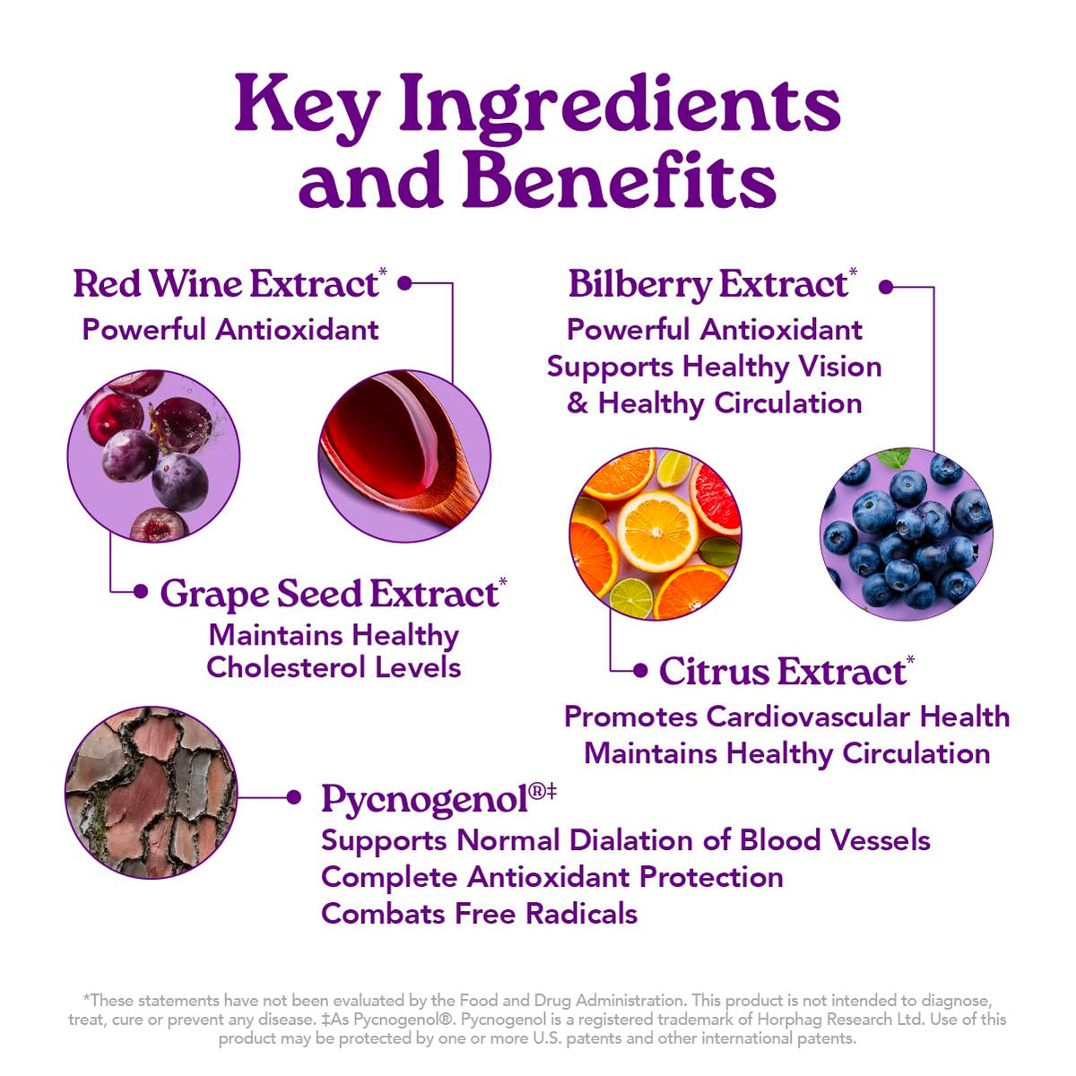 Isotonix OPC-3 Antioxidant Supplement Pycnogenol - 90 Servings - image 2