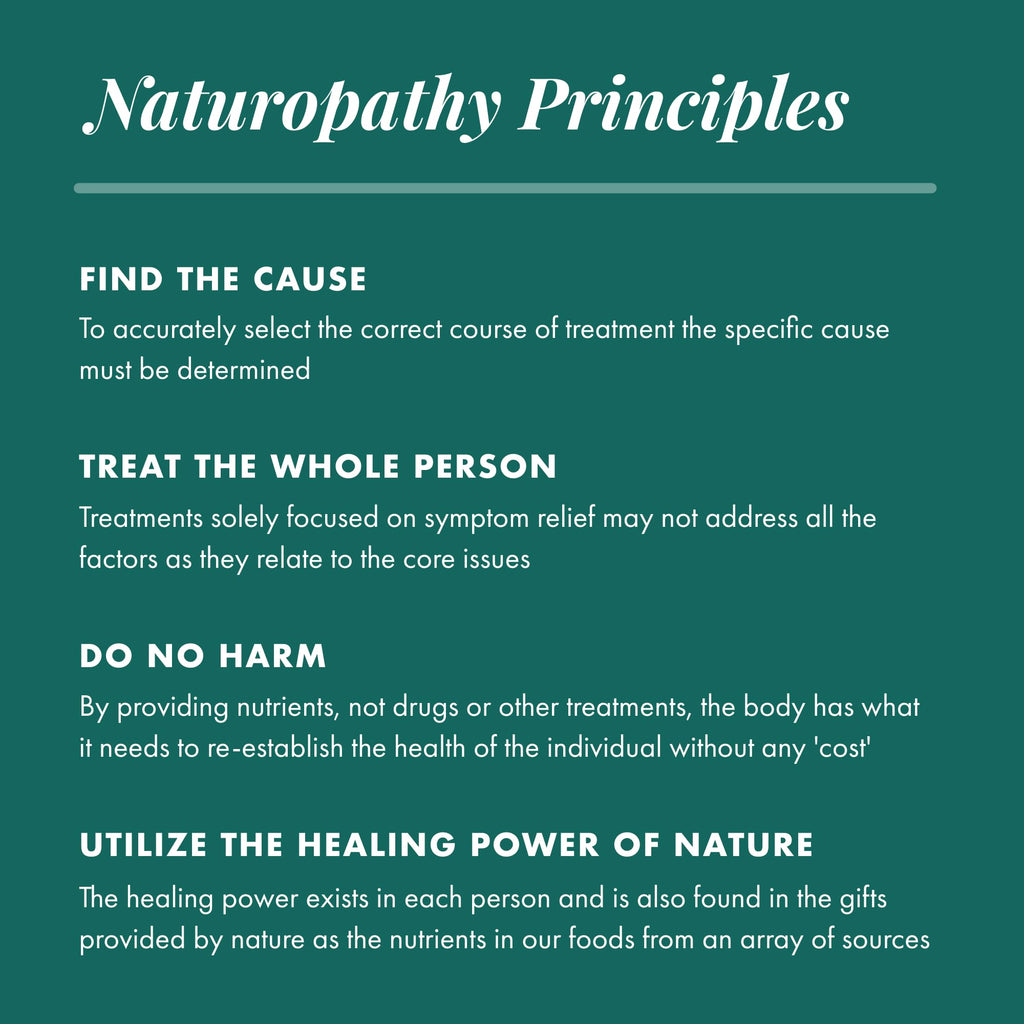 Michael's Health Naturopathic Programs Cholesterol Metabolism Factors - image 5