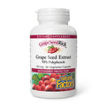 Natural Factors Grape Seed Extract 100 mg - 60 Vegetarian Capsules