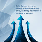 LifeLink CoQ10 90 mg - 30 Capsules - image 4