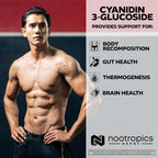 Nootropics Depot Cyanidin 3-Glucoside Capsules