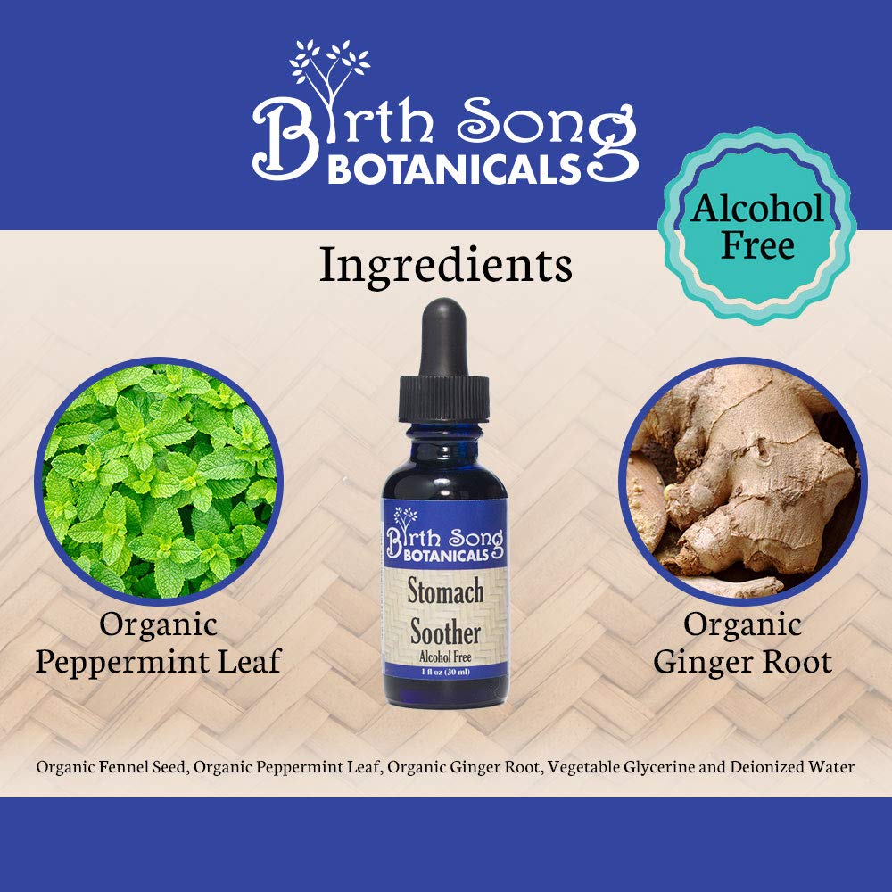 Birth Song Botanicals Stomach Soother Tincture - 1 oz - image 3