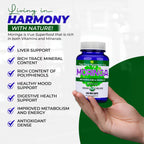 THE FOOD MOVEMENT CO. Moringa Organic Superfood - 100 Vegan Capsules - image 5