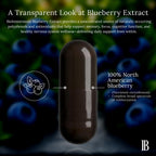 BioImmersion Blueberry 80:1 Extract 500mg Brain Support - 60 Capsules - image 6