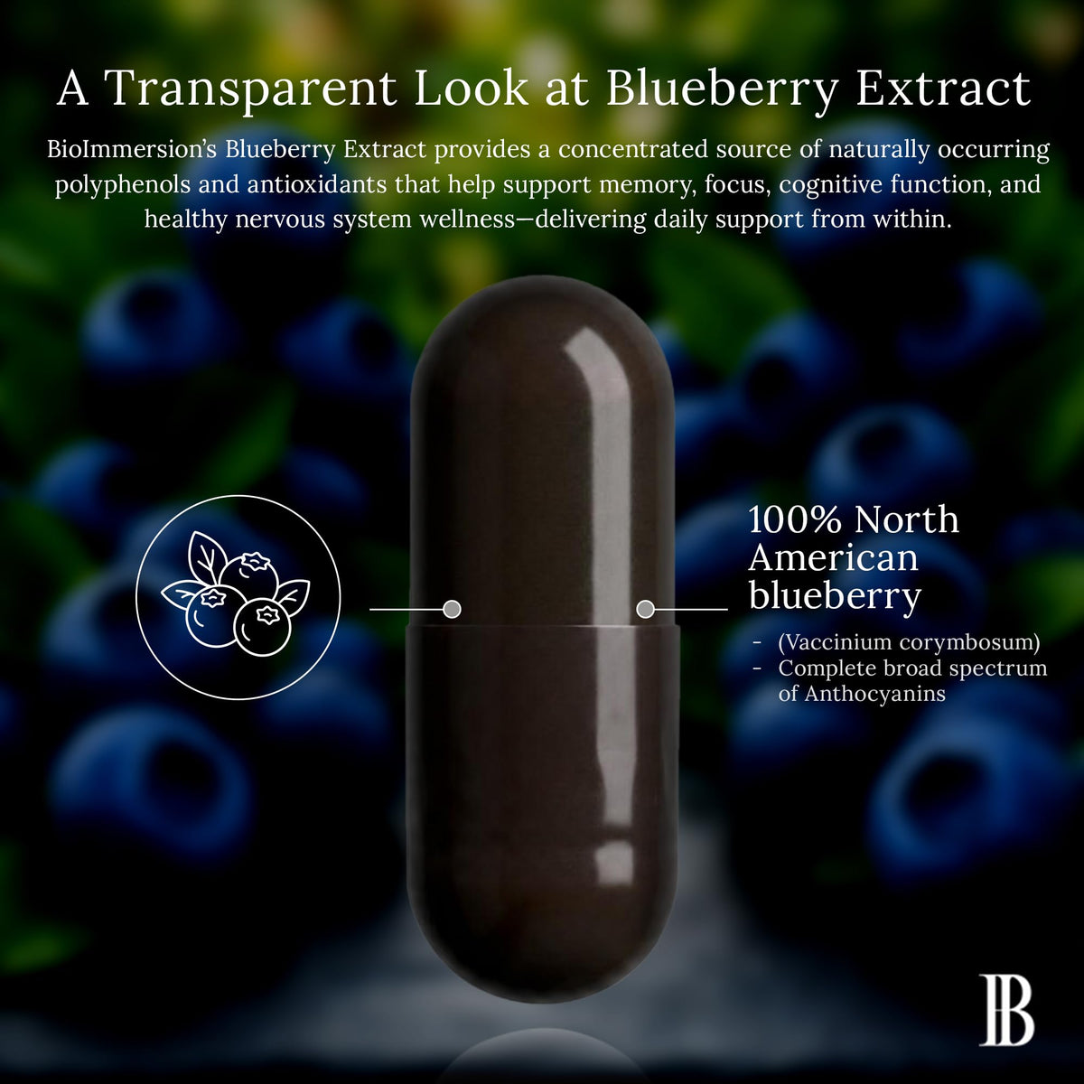 BioImmersion Blueberry 80:1 Extract 500mg Brain Support - 60 Capsules - image 6