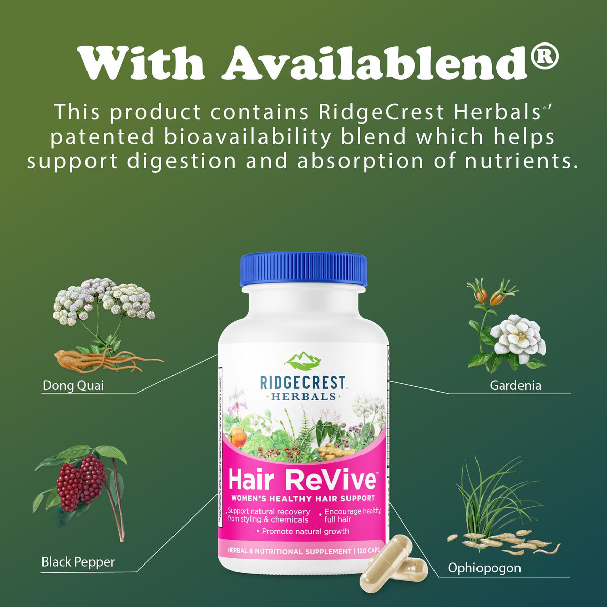 RidgeCrest Herbals Hair Revive Hair Growth Vitamins with Biotin - 120 Capsules - image 6