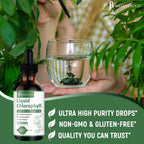 JB Wellness Co Liquid Chlorophyll Drops - 2-Pack - image 6