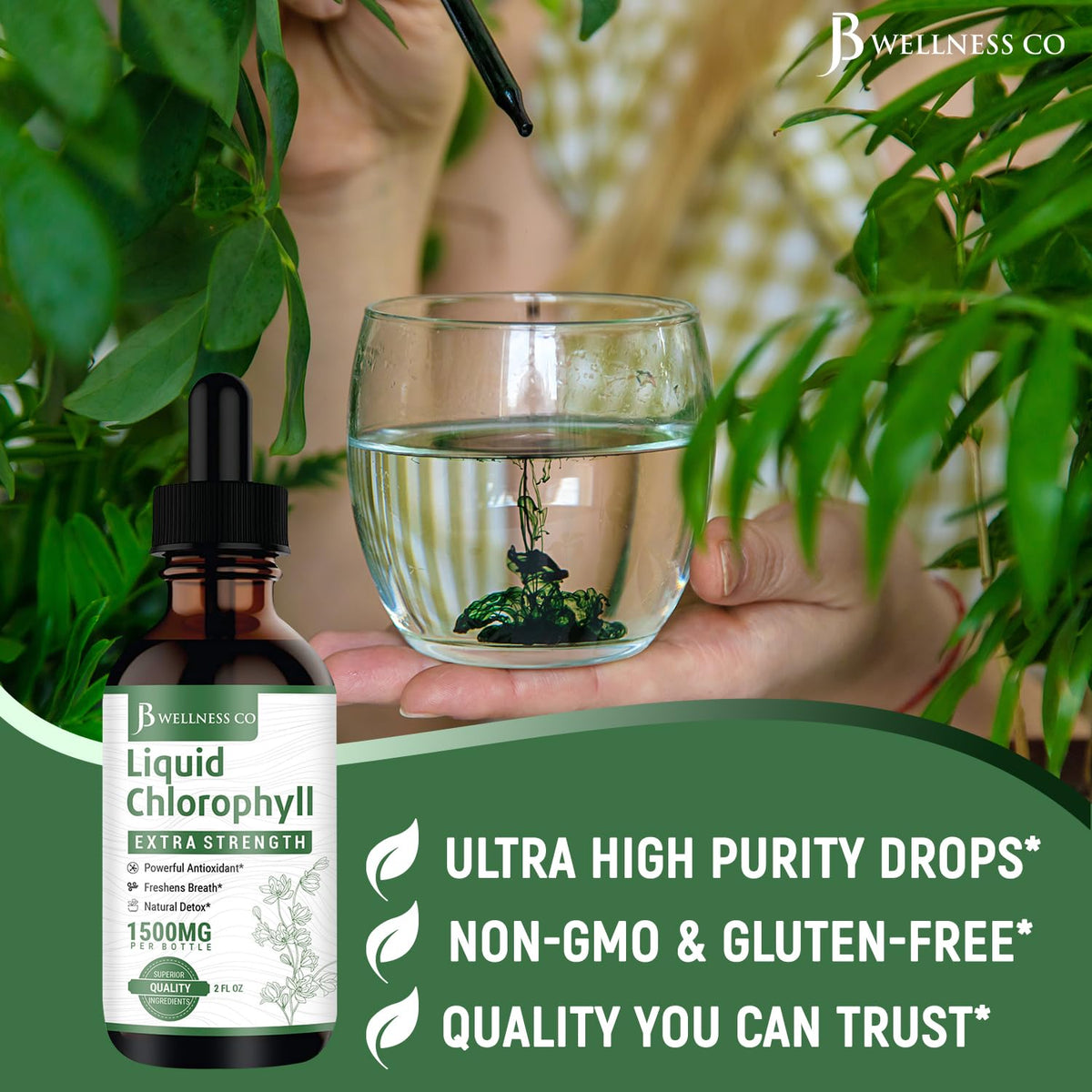 JB Wellness Co Liquid Chlorophyll Drops - 2-Pack - image 6