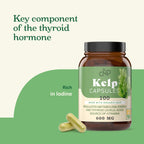 Complete Natural Products Icelandic Sea Kelp 600mg Thyroid Support - image 3