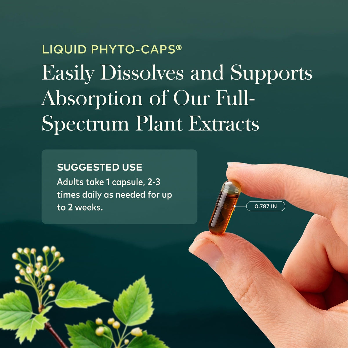 Gaia Herbs Sinus & Lung Supreme - 60 Vegan Capsules - image 6