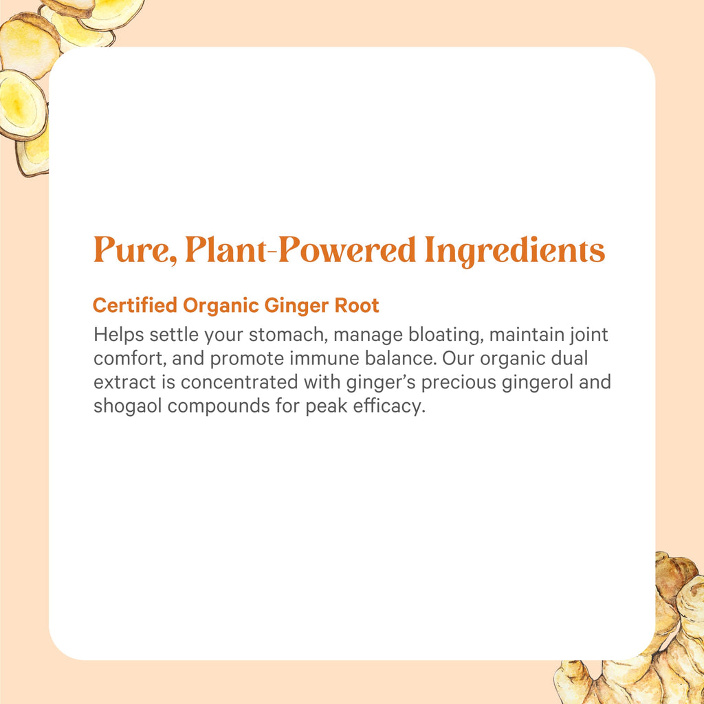 PURE SYNERGY SuperPure Ginger Extract - 60 Capsules - image 5