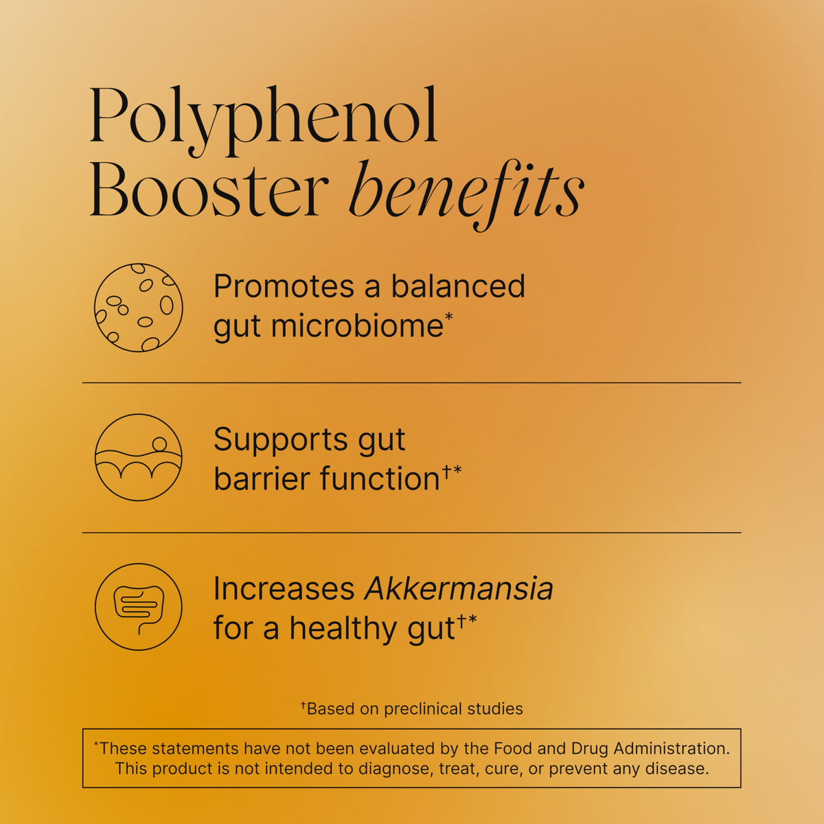 Pendulum Polyphenol Booster Prebiotic - 60 Capsules - image 3