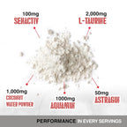 Apollon Nutrition Hydration Electrolytes
