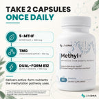 LIFEDNA Methyl + Methylfolate 5-MTHF & TMG Formula - 60 Capsules - image 2