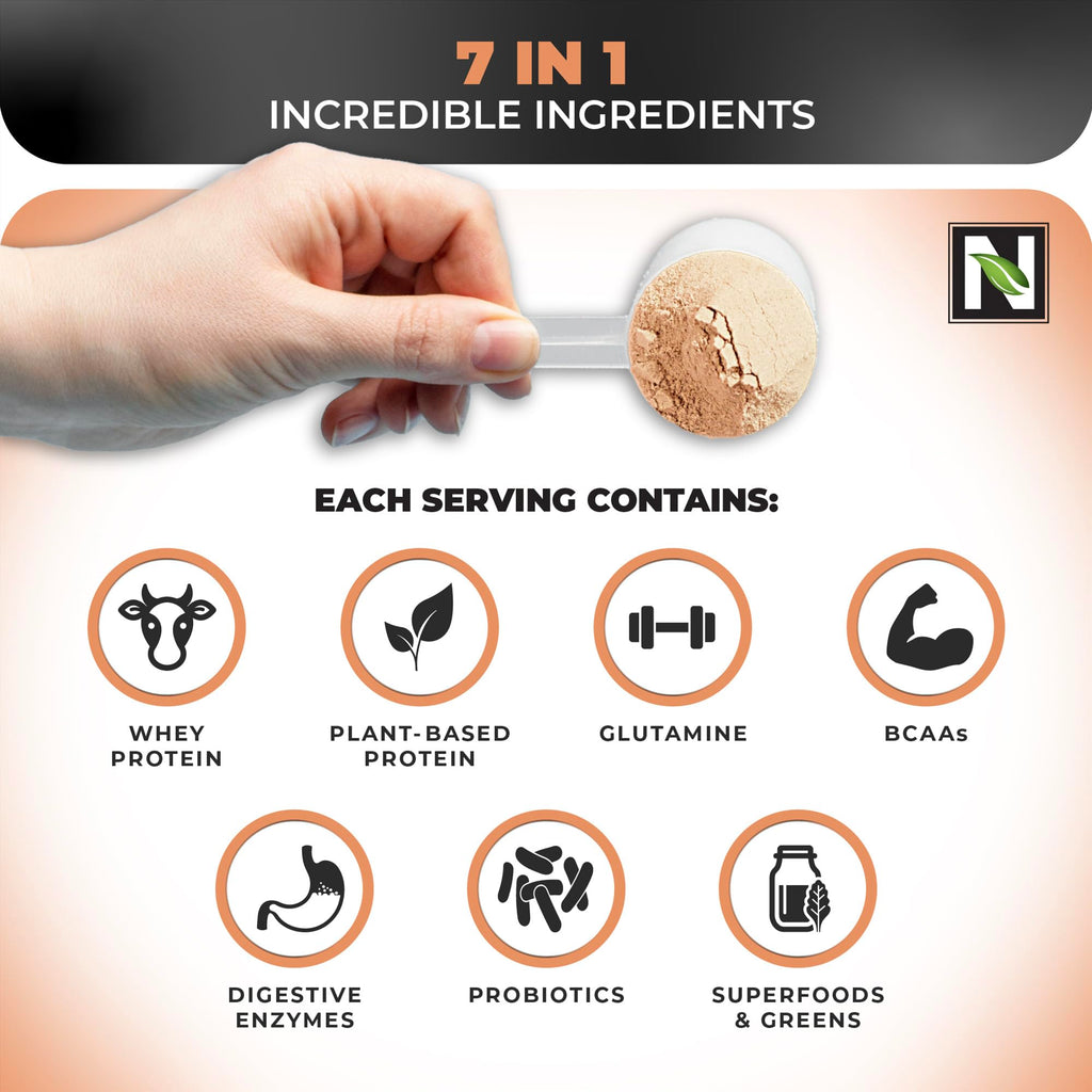 Nutrology TRIPACT Protein Powder - 7-in-1 Meal Replacement Shake