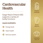 Solgar Niacin Vitamin B3 500 mg - 250 Vegetable Capsules - image 4