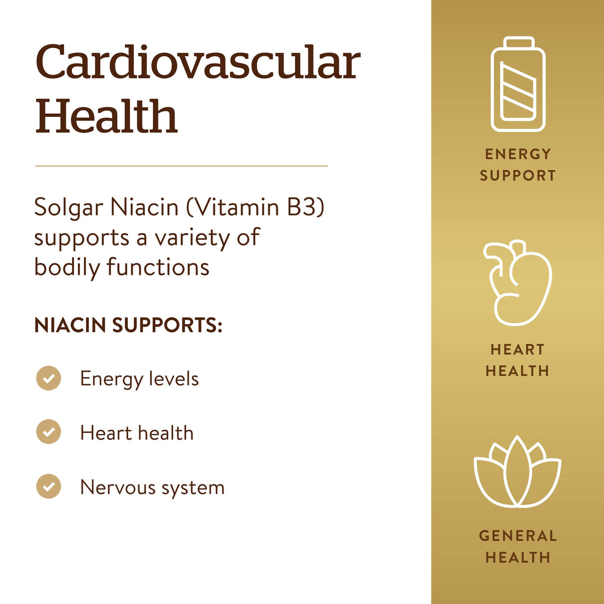 Solgar Niacin Vitamin B3 500 mg - 250 Vegetable Capsules - image 4