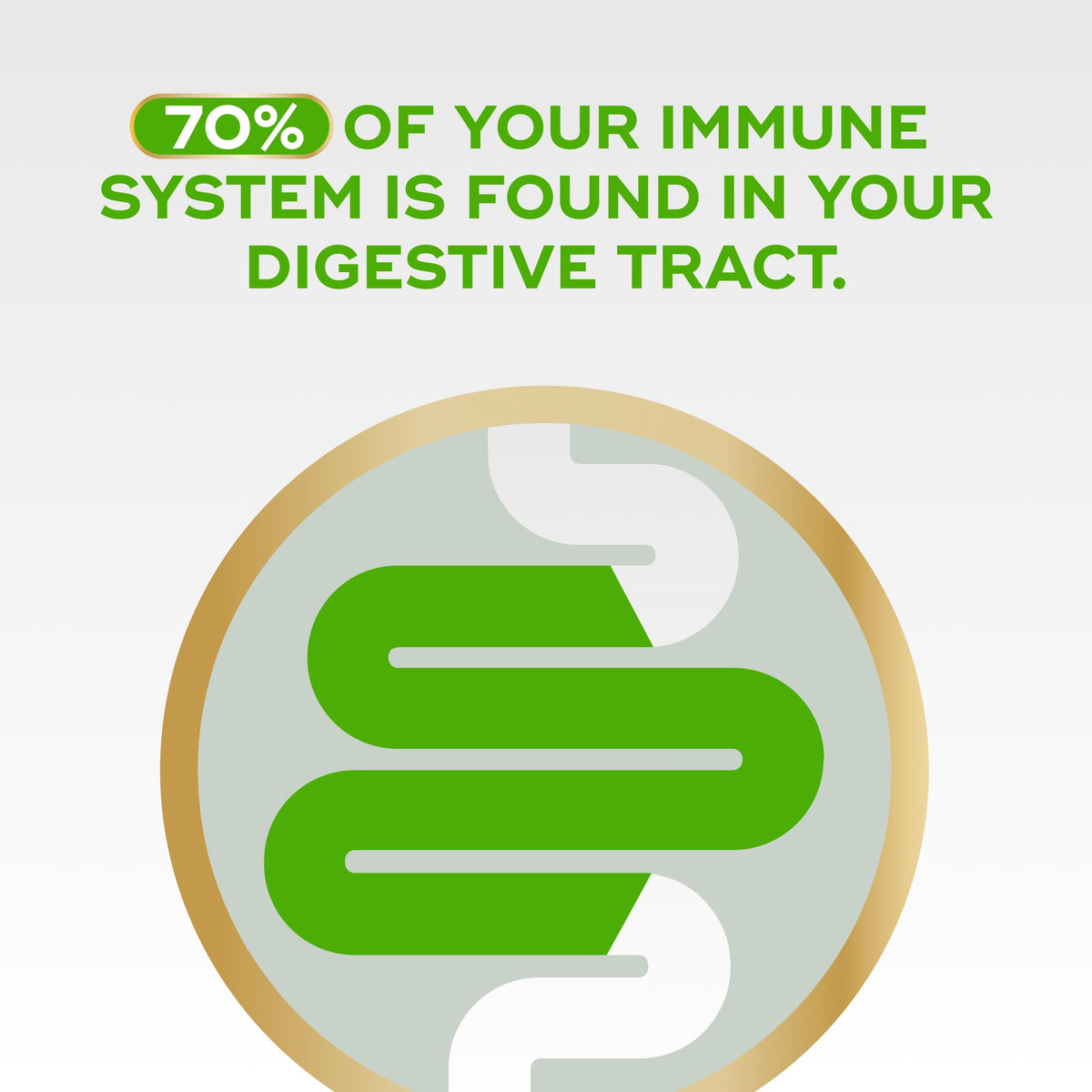 Align Probiotic Gut Health + Immune Support - 28 Capsules - image 5