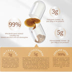 Generic Reishi Mushroom Organic Immune Support - 120 Capsules - image 3