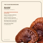OM MUSHROOM SUPERFOOD Reishi Mushroom Capsules Stress Relief - 90 Count - image 3