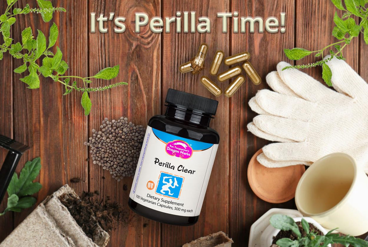 Dragon Herbs Perilla Clear Capsules - 60 Capsules - image 2