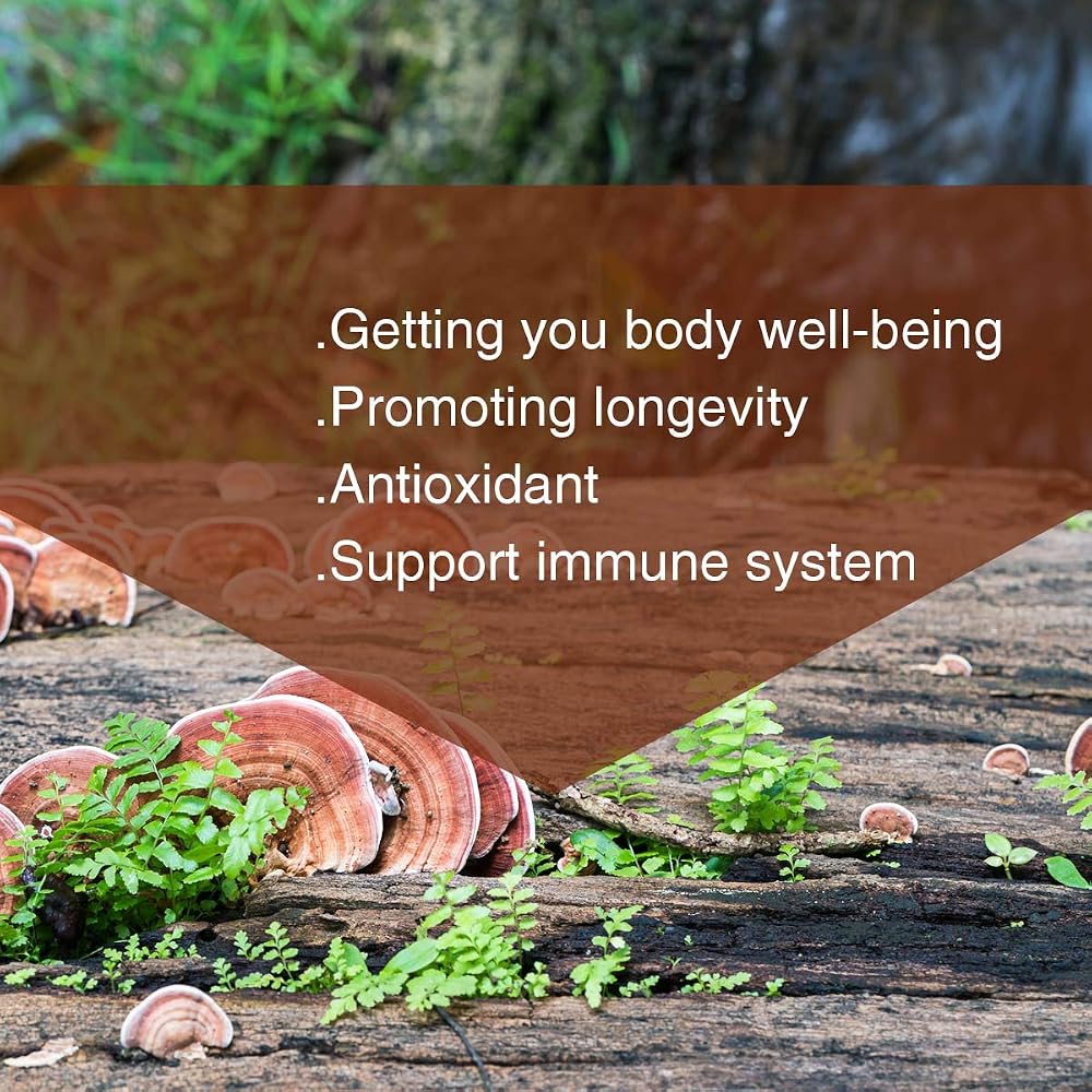 Yuanziyuanfang Red Reishi Mushroom Spore Powder - 200g - image 4