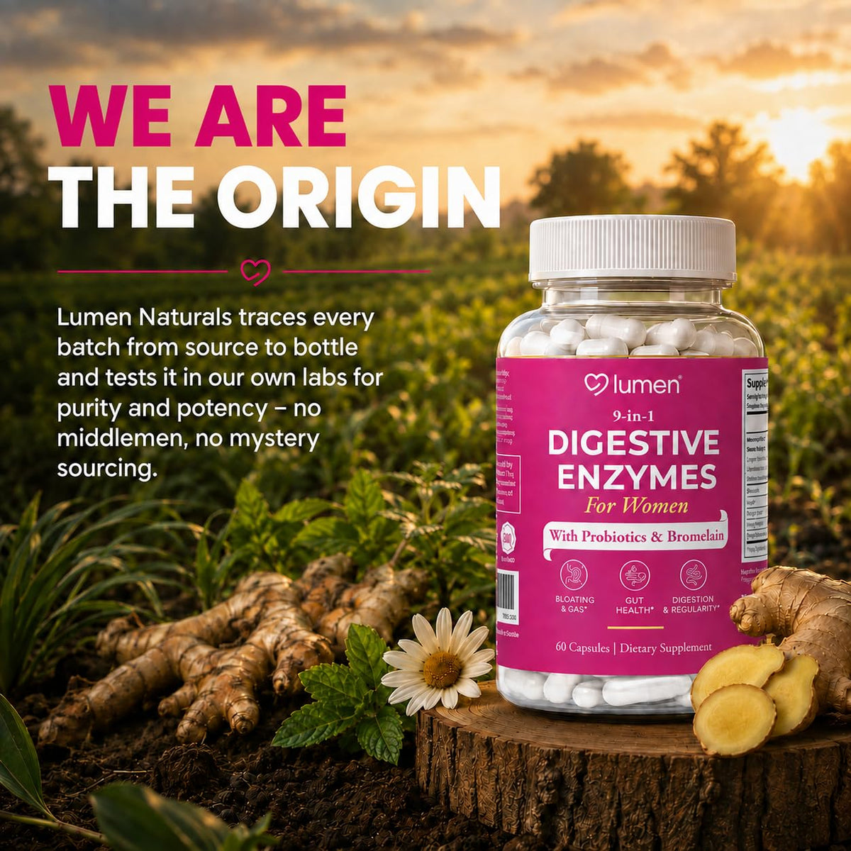 Lumen Naturals Digestive Enzymes for Women - 60 Capsules - image 5